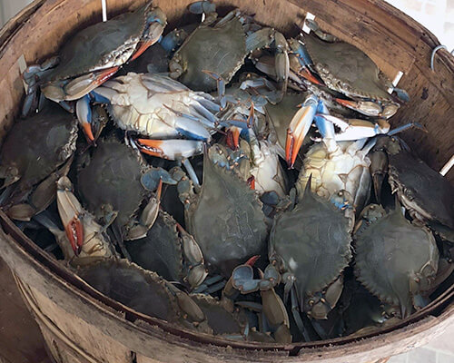 Outer Banks Crabbing Charters